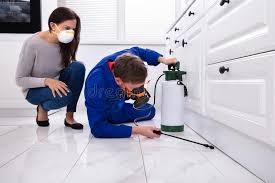 Best Real Estate Pest Inspections  in Apollo, PA